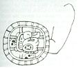 Arm shield WiBoM01.jpg